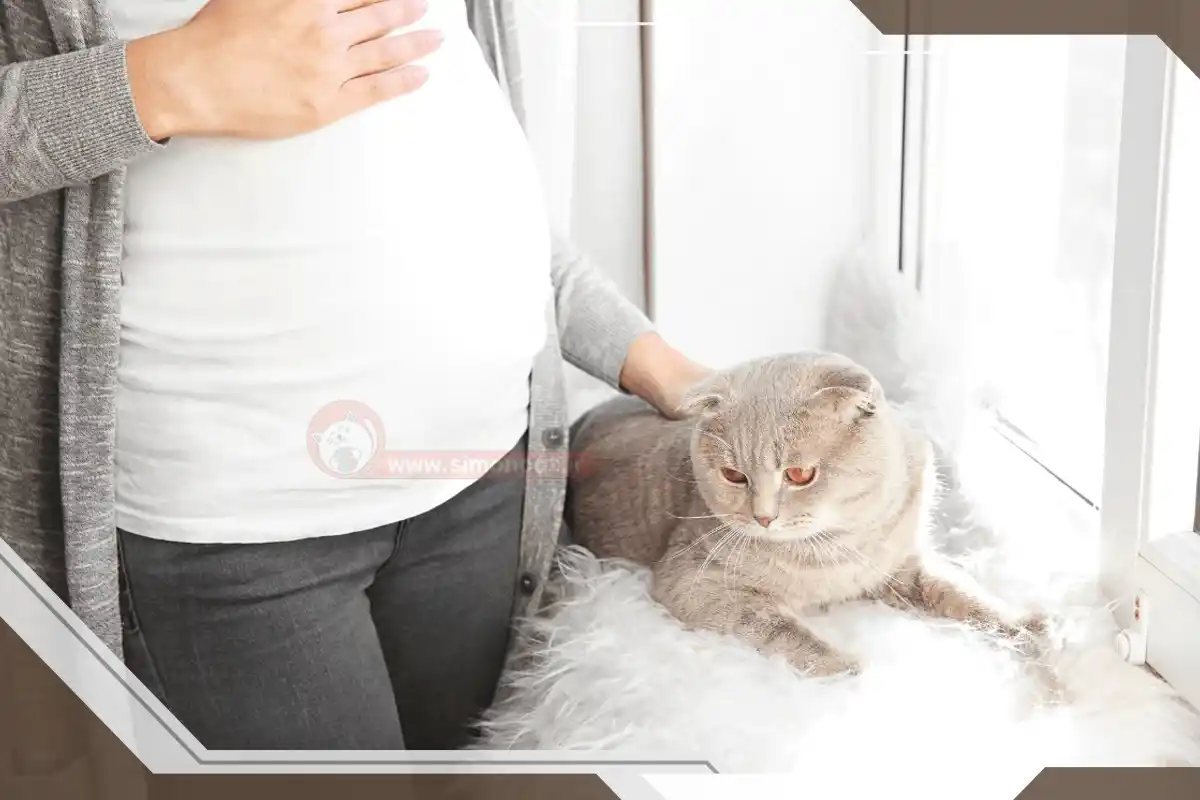 گربه و زن حامله