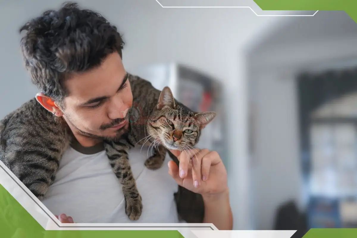 علت رفتار های گربه