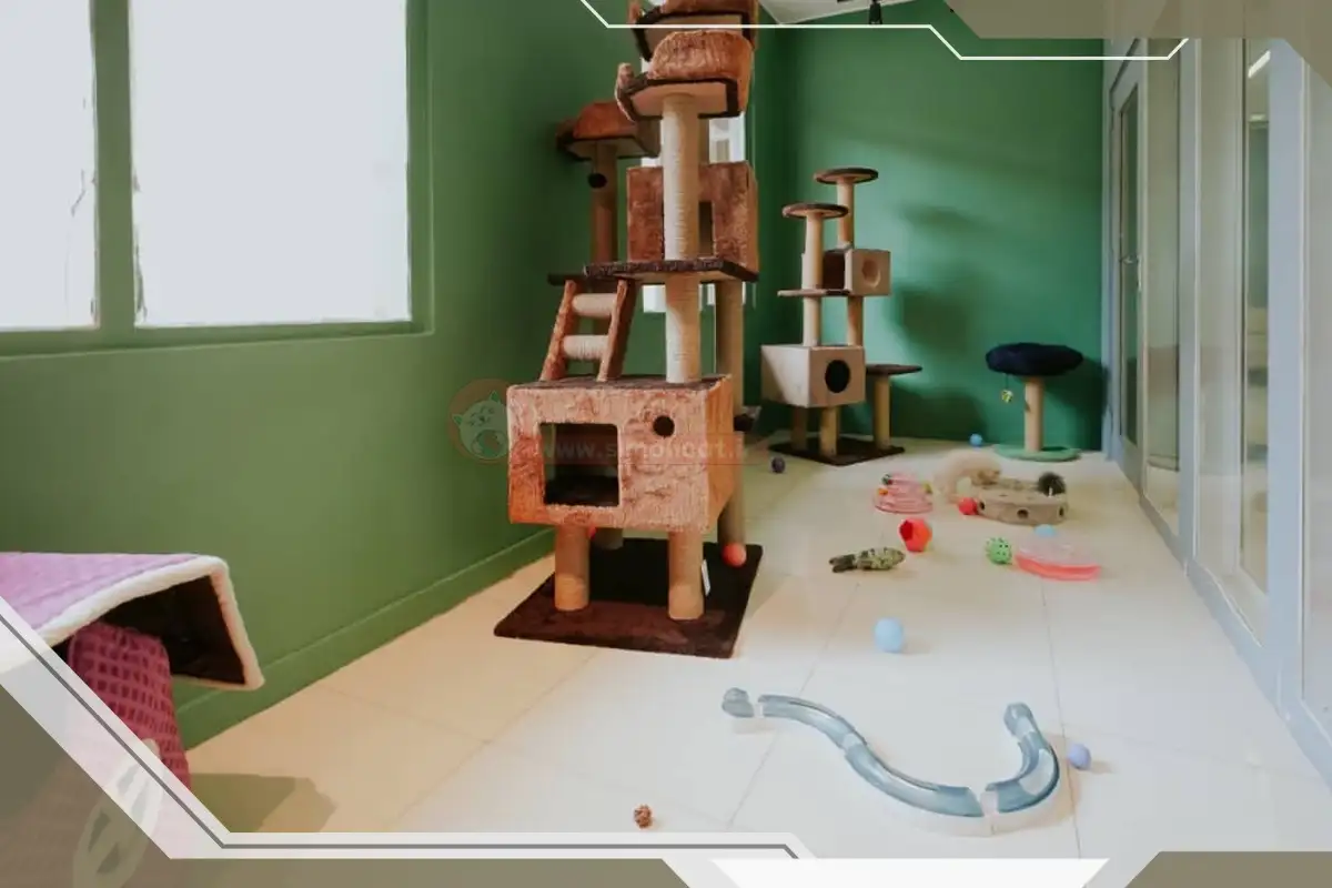 هتل گربه تهران