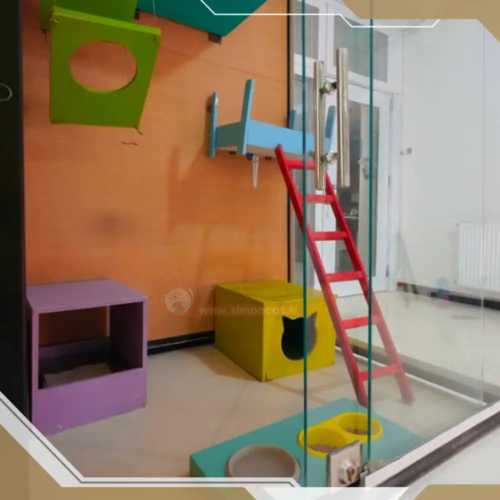 هتل یا پانسیون گربه چیست