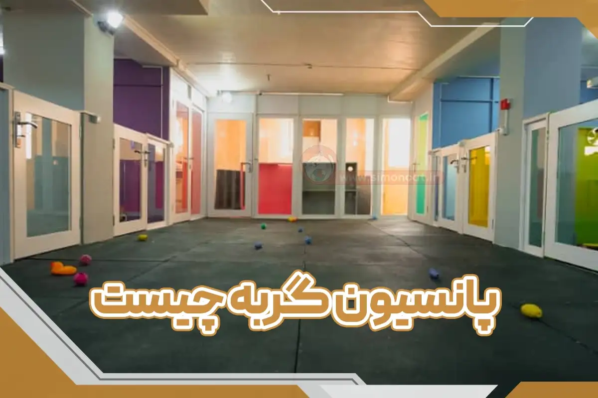 پانسیون گربه چیه