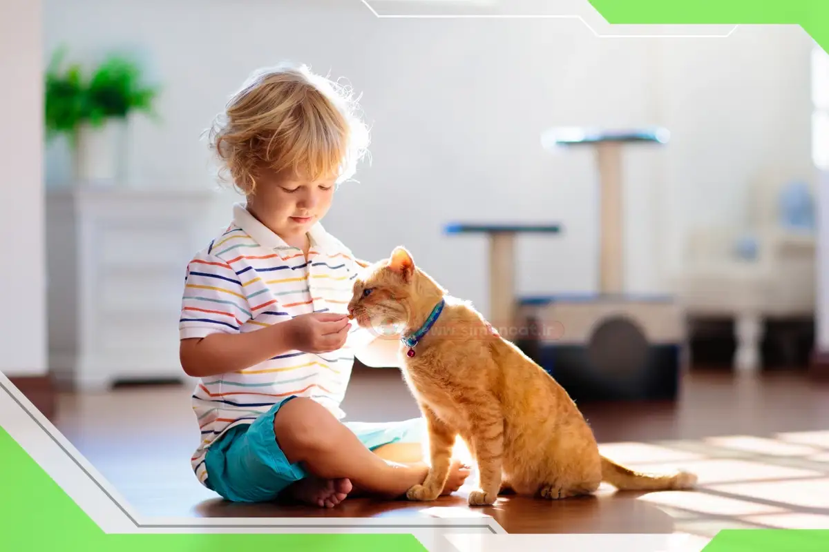 چرا گربه ام بهم هدیه داد