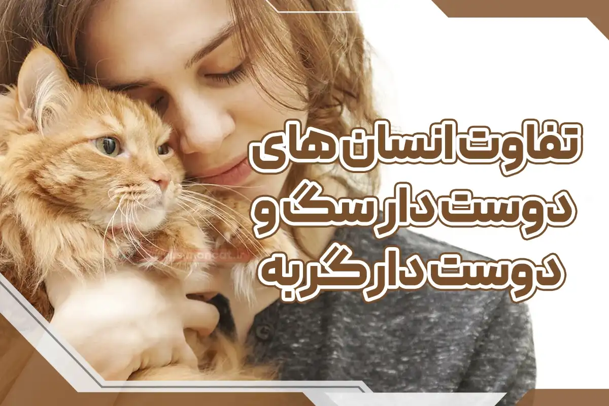 انسان های دوستدار سگ و گربه