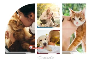 تفاوت انسان های دوست دار سگ و دوست دار گربه