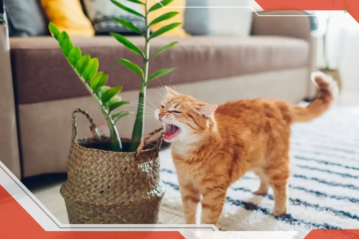 مسوم شدن گربه با گیاهان