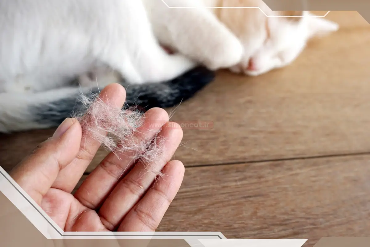 رابطه موی گربه و نازایی