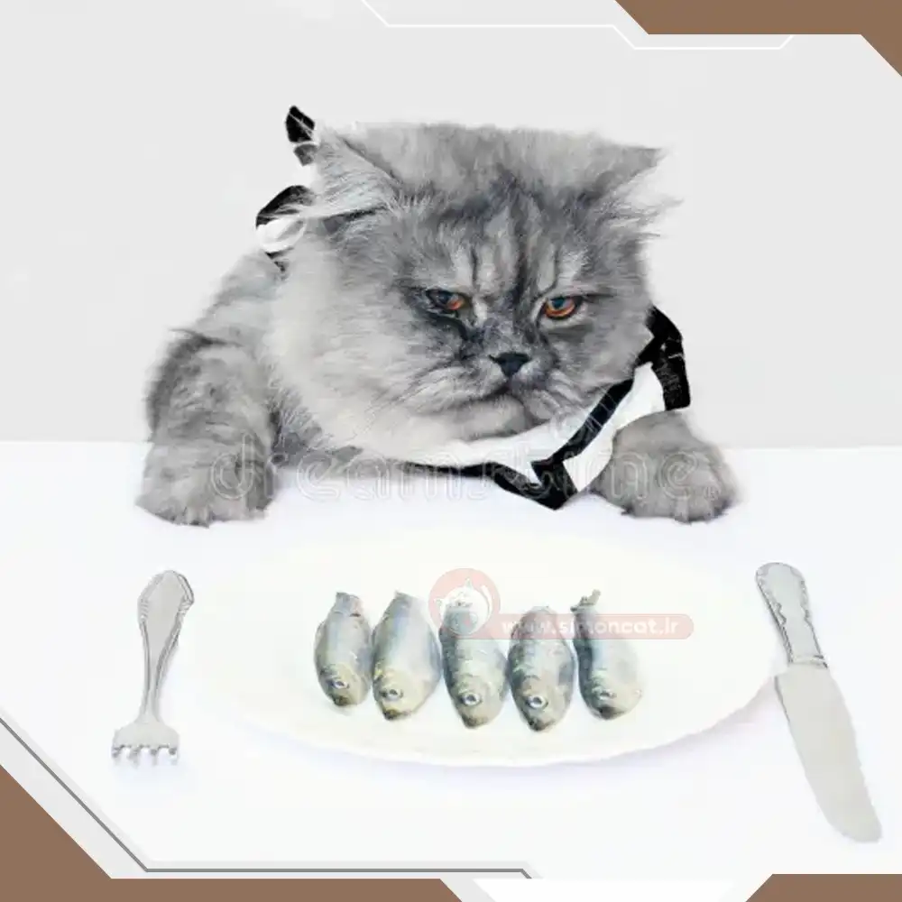 ماهی در غذای گربه