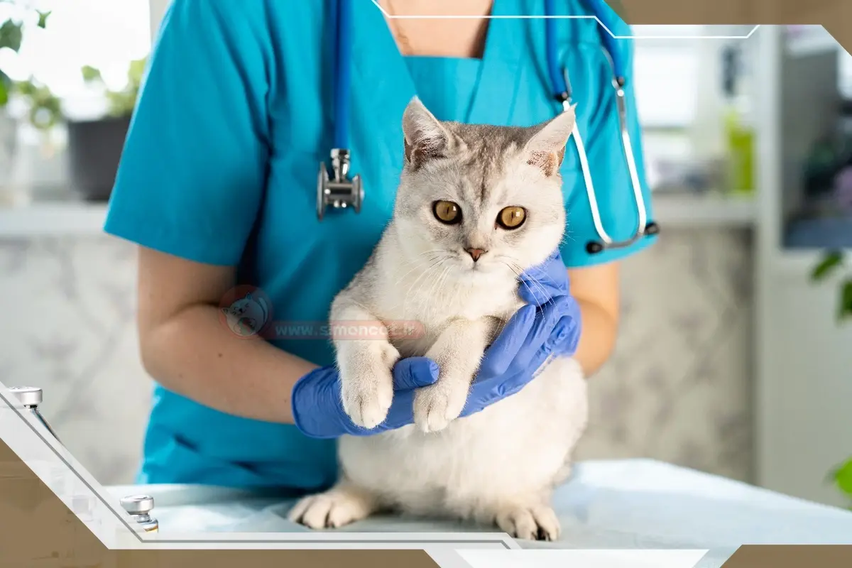 واکسیناسیون و دامپزشک