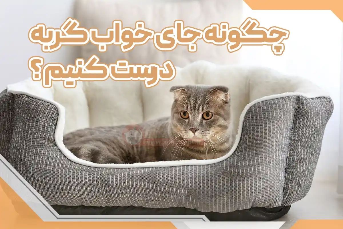 چگونه جای خواب برای گربه درست کنیم