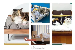 چگونه جای خواب گربه درست کنیم