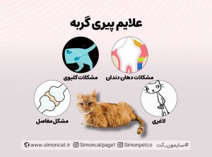 علائم پیری گربه
