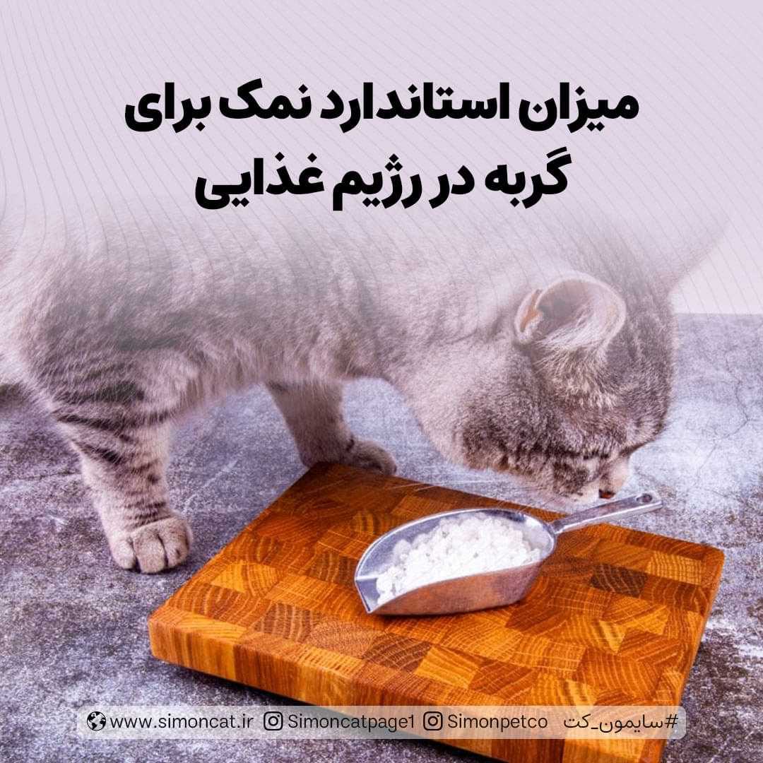 عکس میزان استاندارد نمک برای گربه در رژیم غذایی