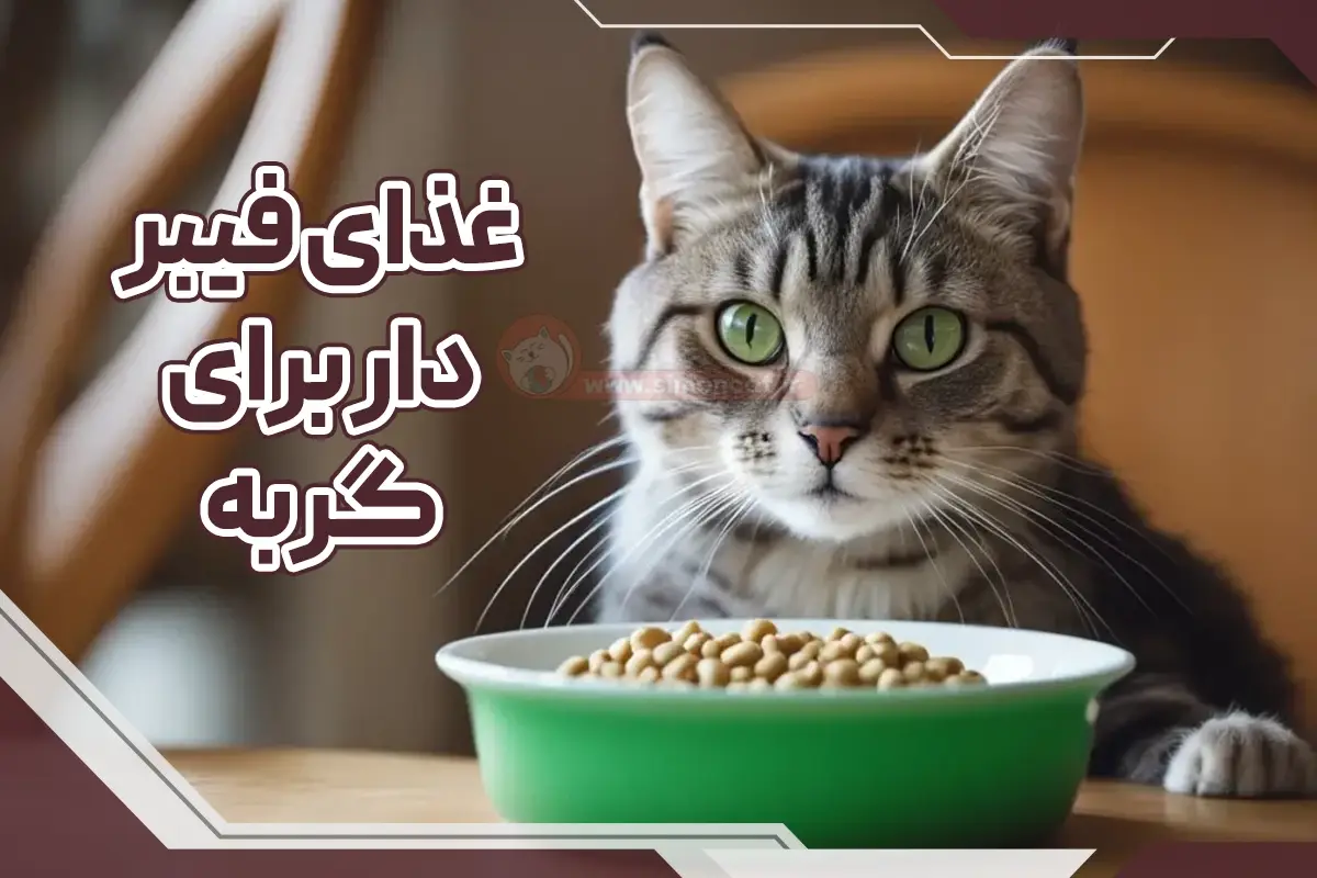 غذا فیبر دار برای گربه