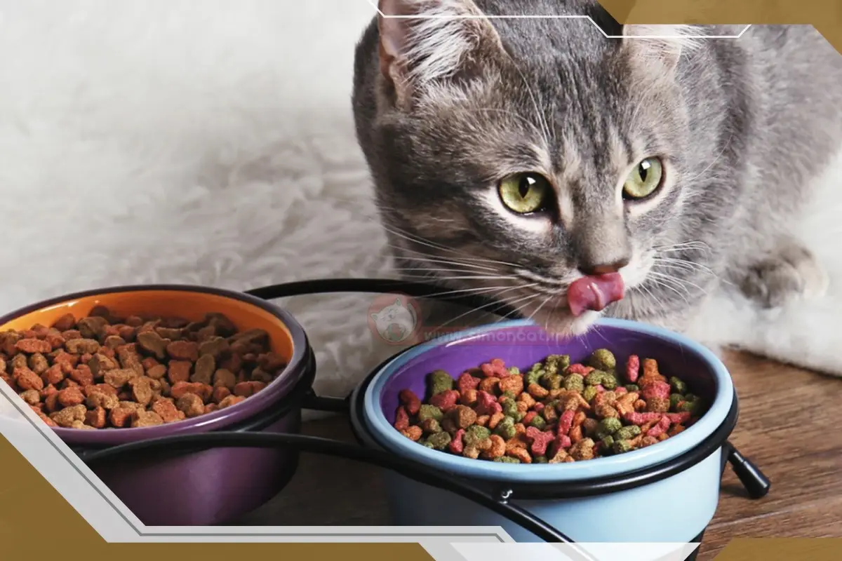 غذاهای فیبر دار برای گربه