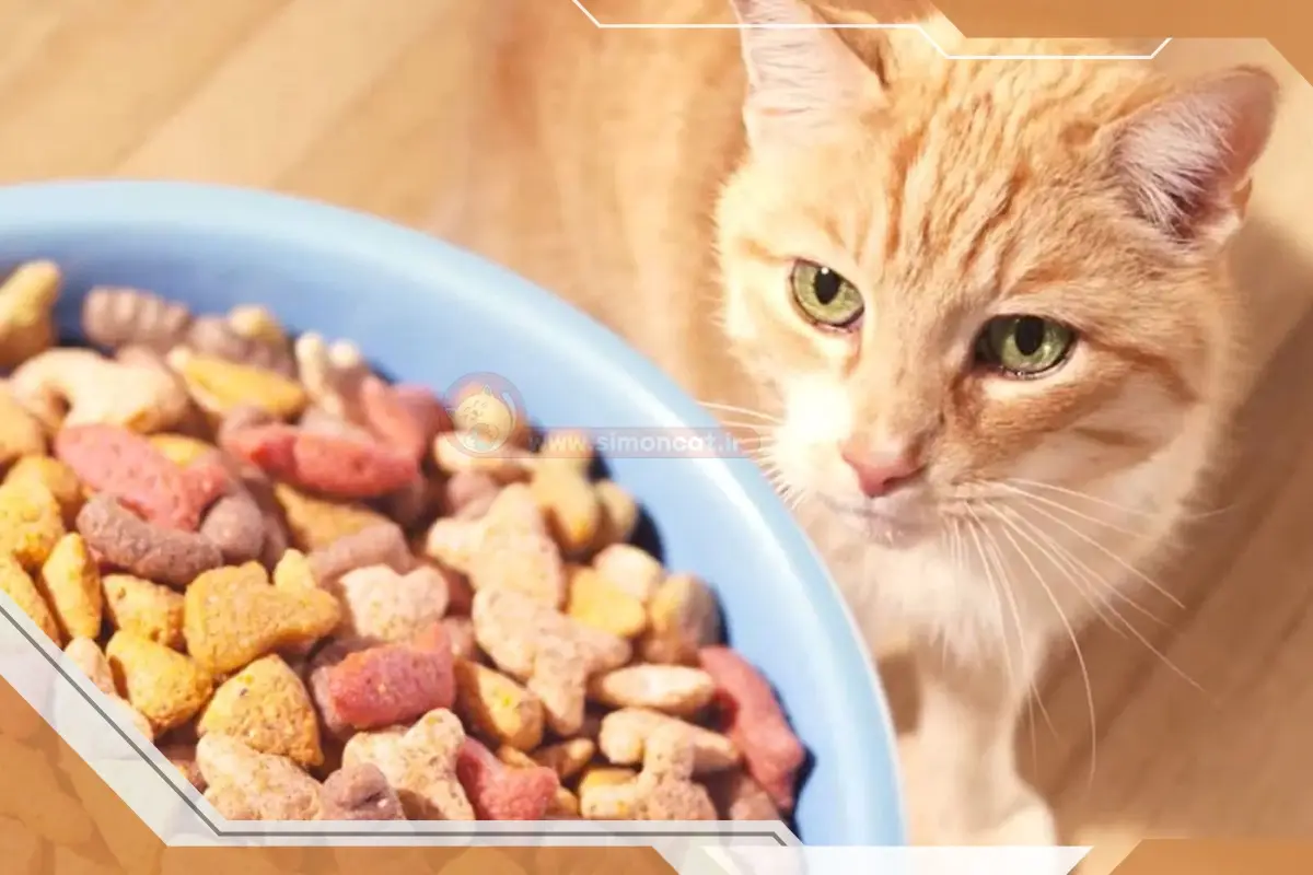 غذای فیبر دار گربه