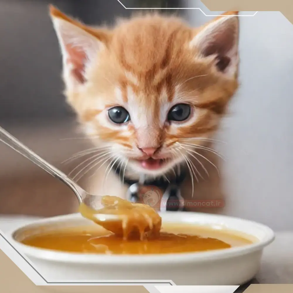  غذای گربه با تن ماهی و مرغ 