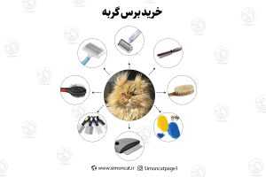 خرید برس گربه