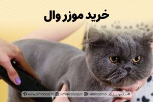 خرید موزر وال