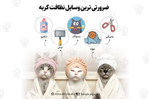 ضروری ترین لوازم نظافت گربه ها