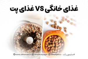 غذای خانگی و غذای پت