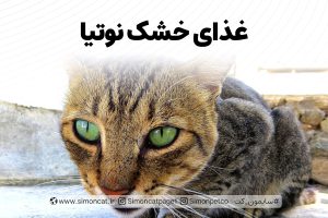 غذای خشک نوتیا