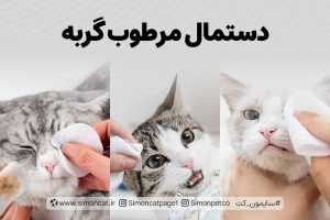 خرید دستمال مرطوب گربه