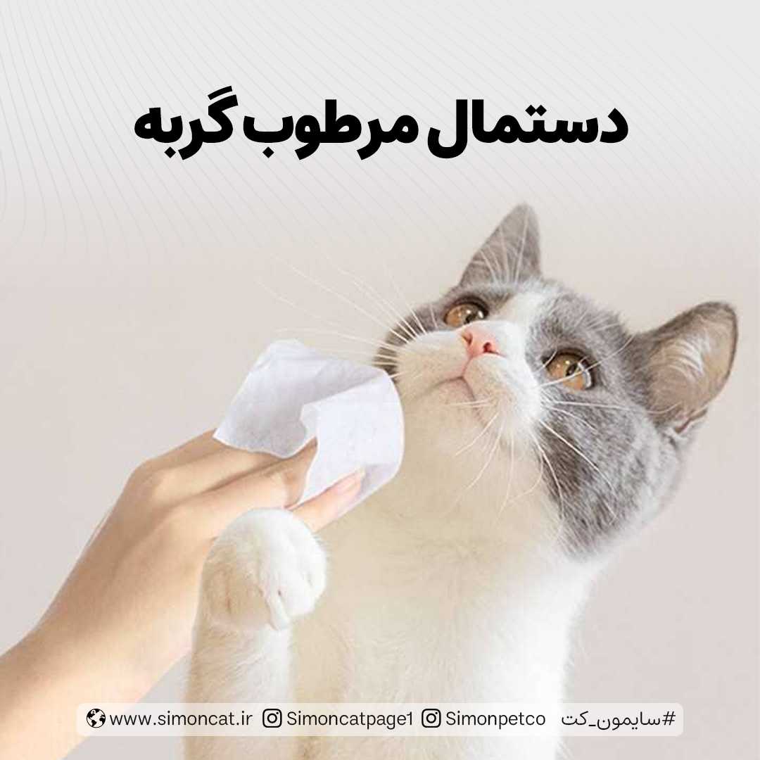 عکس خرید دستمال مرطوب گربه
