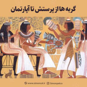 گربه ها از پرستش تا آپارتمان