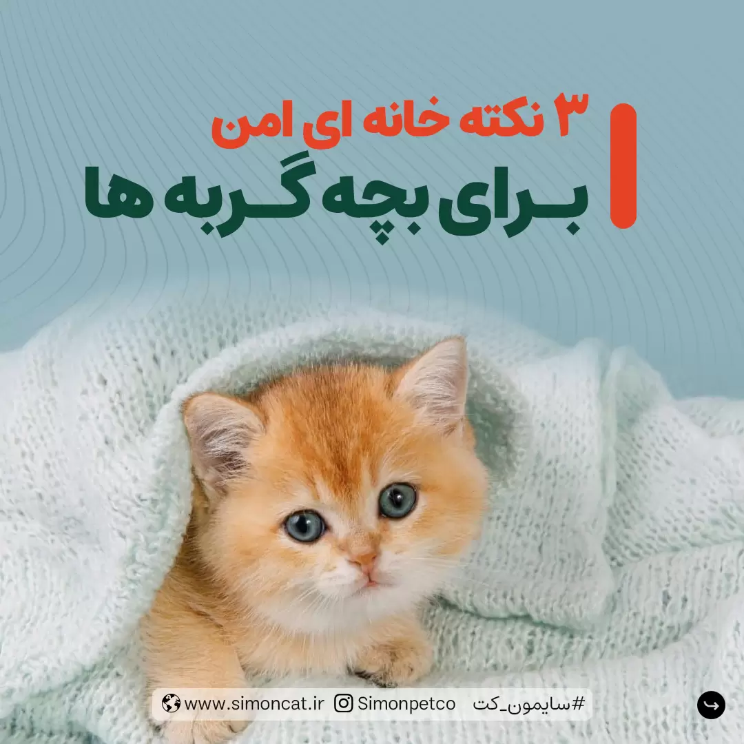 آماده سازی خانه قبل از ورود گربه