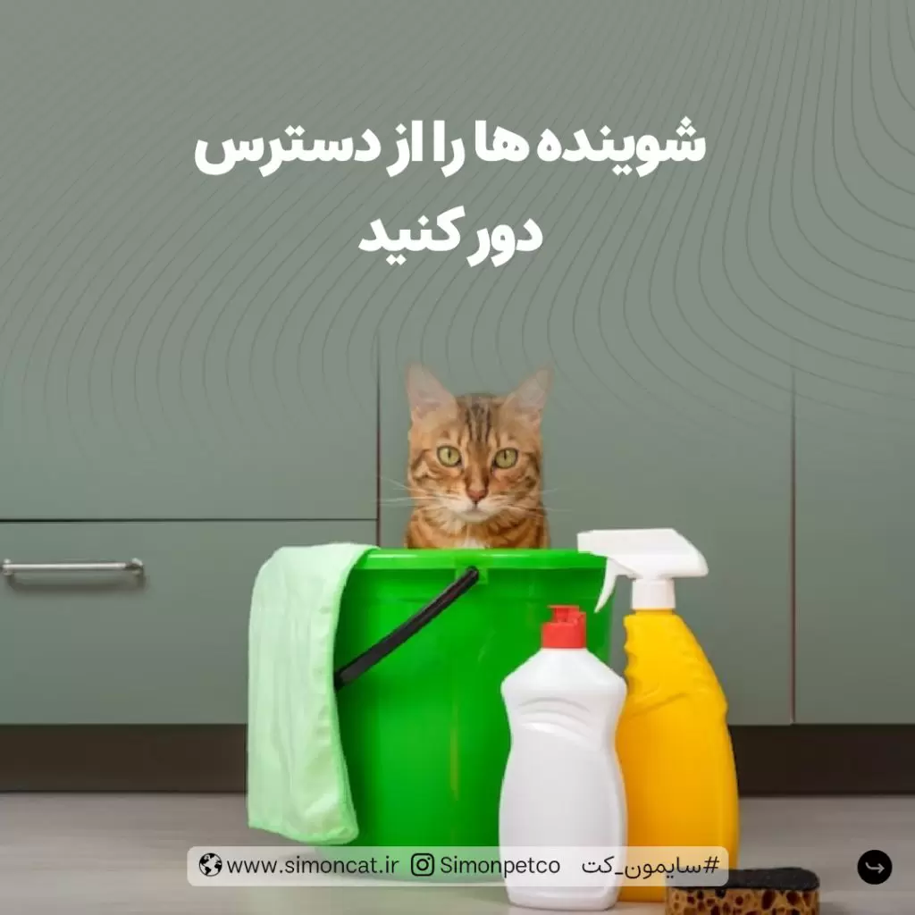 آماده سازی خانه قبل از ورود گربه