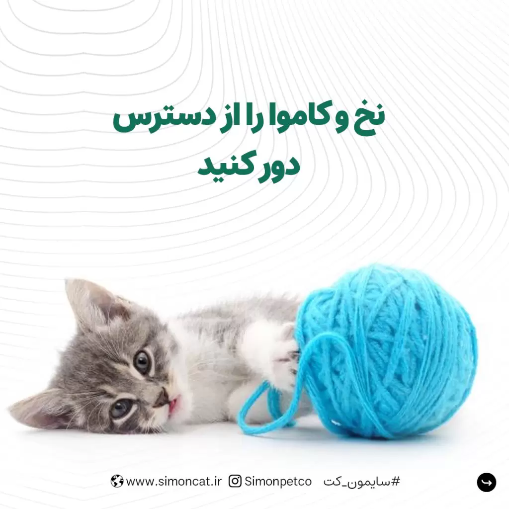 نخ و کاموا را از دسترس گربه دور کنید