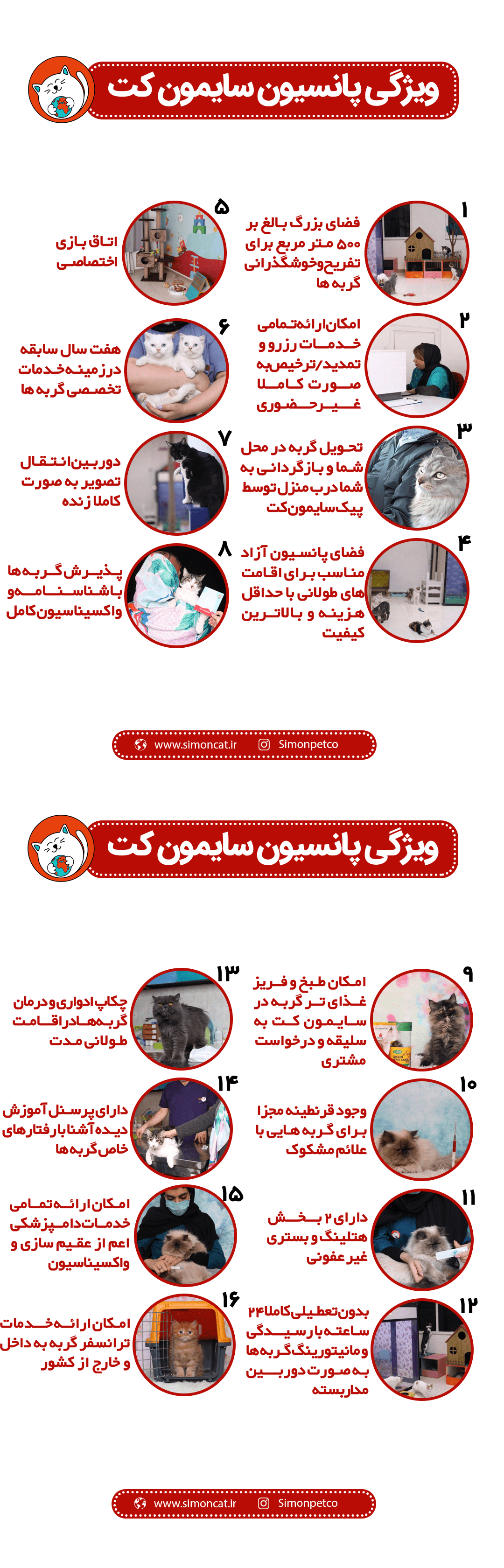 ویژگی پانسیو گربه سایمون کت