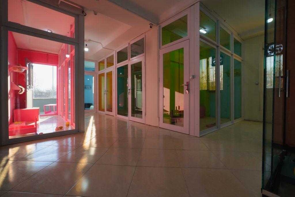 پانسیون سایمون کت