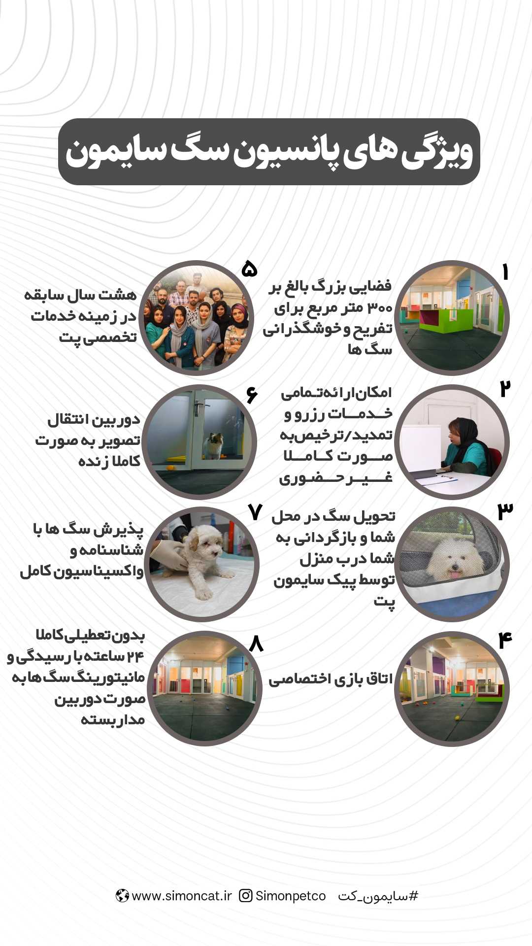 ویژگی های پانسیون سگ سایمون کت