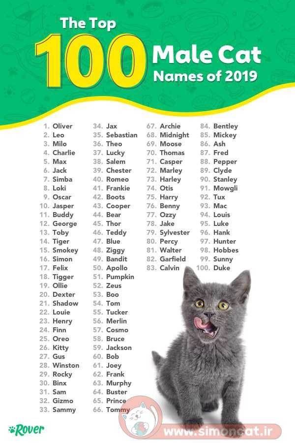 100 اسم گربه نر
