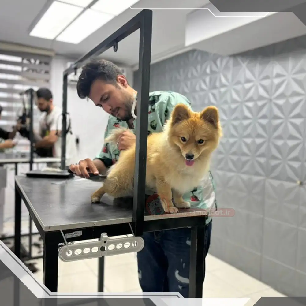 اصلاح حیوانات