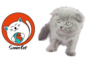 خدمات سایمون کت برای گربه در پونک تهران