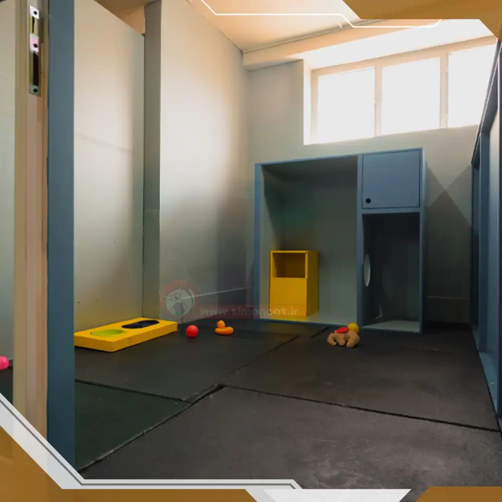 پانسیون گربه تهران