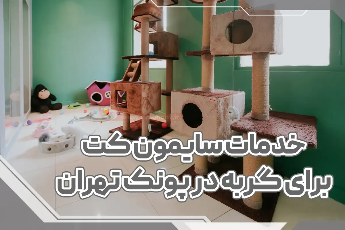 پانسیون گربه در پونک