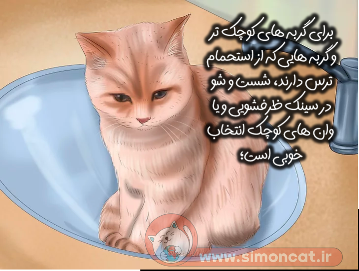 گربه خود را در سینک و یا وان‌های کوچک مخصوص بشویید!