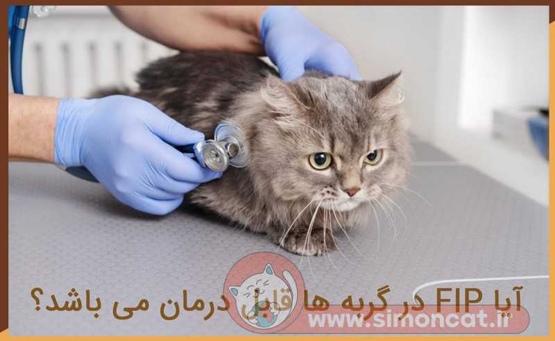 درمان fip در گربه ها