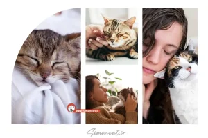 ده نشانه که گربه تان شما را دوست دارد