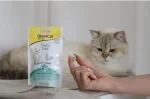 قرص مراقبت از دندان گربه جیم کت GimCat Denta Tabs