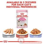 انواع پوچ مخصوص گربه Royal canin kitten