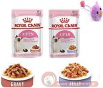 انواع پوچ مخصوص گربه رویال کنین