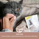 تصویر مکمل مولتی ویتامین گربه جیم کت پوست و مو