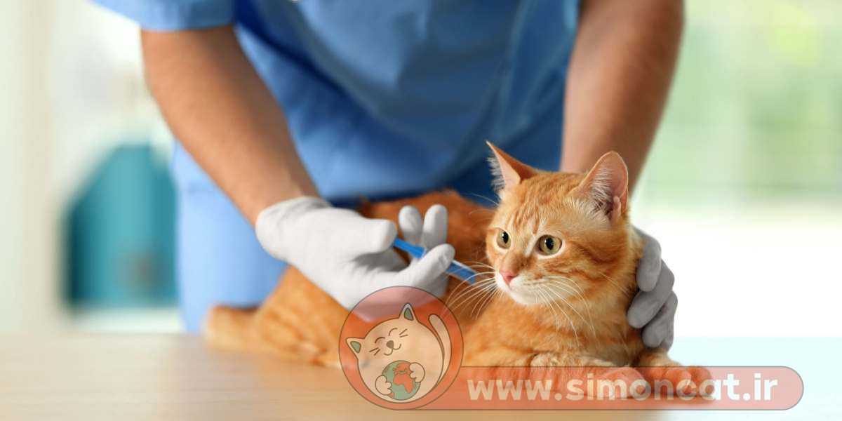 تصویر واکسیناسیون گربه