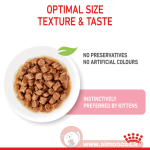 توضیحات پوچ مخصوص گربه رویال بچه گربه