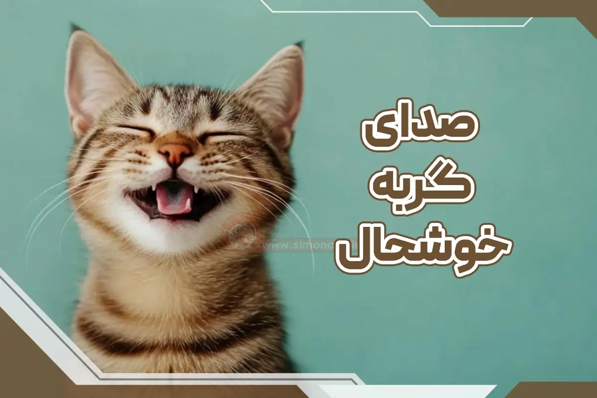 صدای گربه ی خوشحال