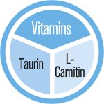 مشخصات مکمل بچه گربه جیم کت